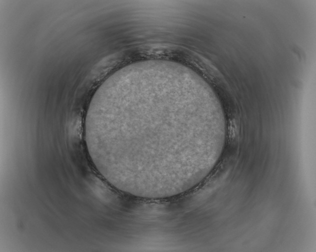X0000113330820200910051144