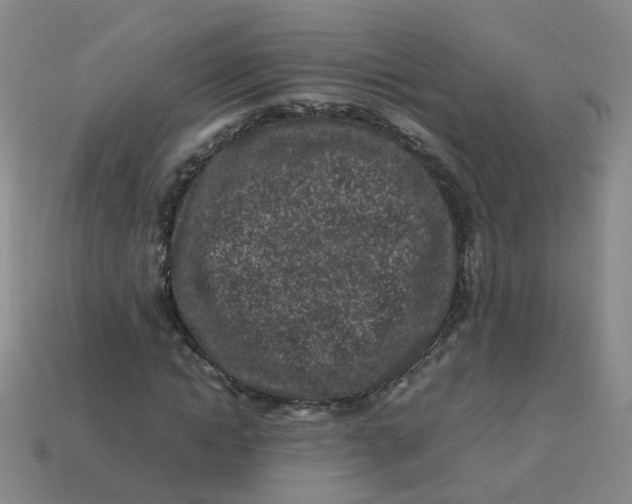 X0000113330822200910051144