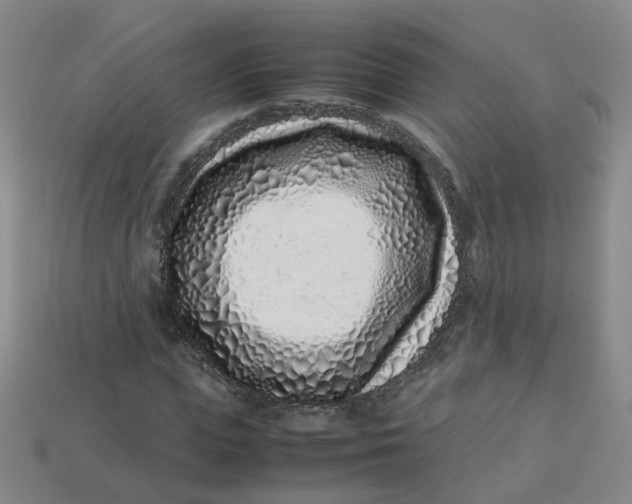 X0000113330823200910051144