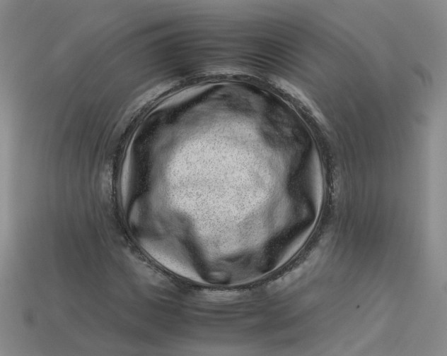 X0000113330825200910051144