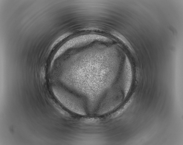 X0000113330826200910051144