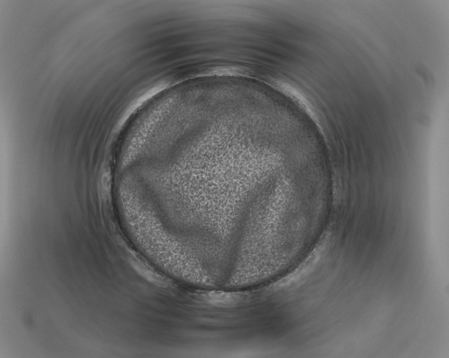X0000113330827200910051144