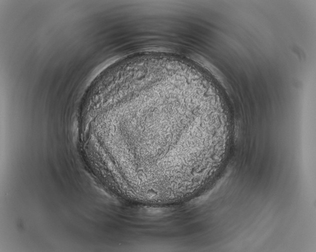 X0000113330829200910051144