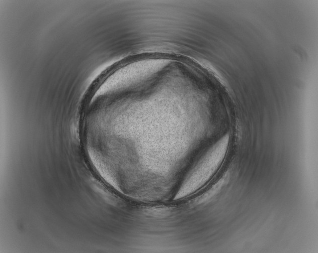 X0000113330830200910051144