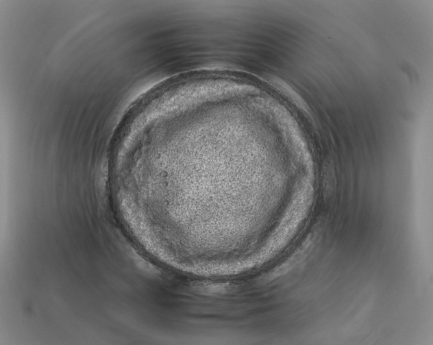 X0000113330831200910051144