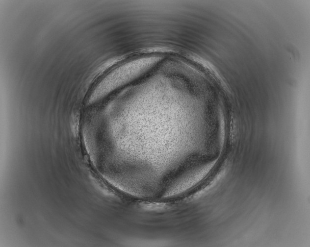 X0000113330833200910051144
