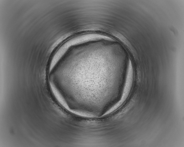 X0000113330834200910051144