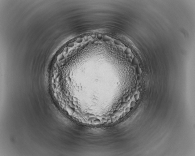 X0000113330835200910051144