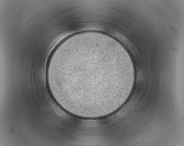 X0000113330836200910051144