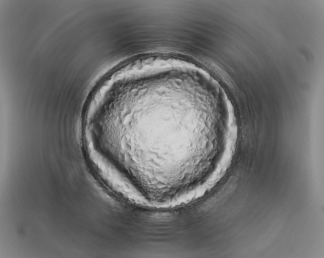 X0000113330839200910051144
