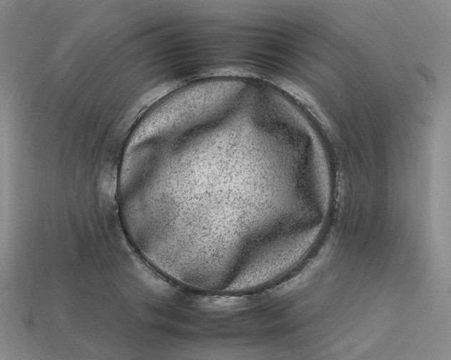 X0000113330841200910051144