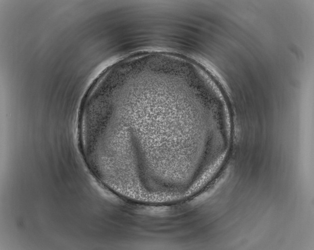 X0000113330845200910051144