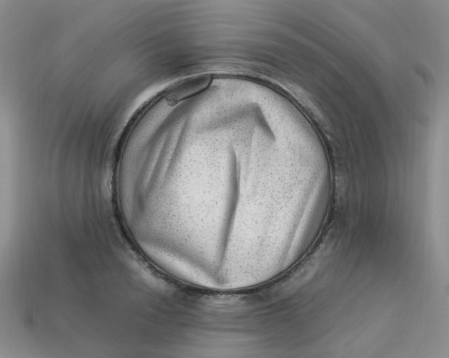 X0000113330846200910051144