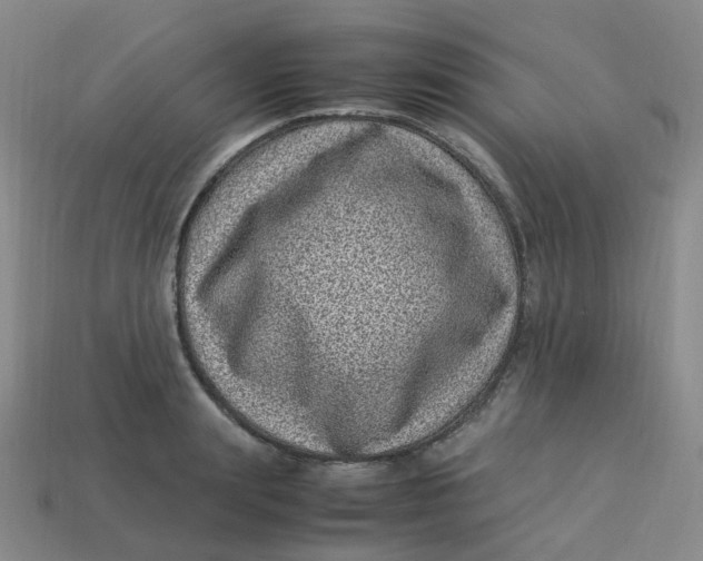 X0000113330847200910051144