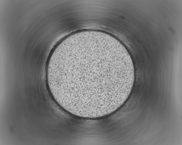 X0000113330848200910051144