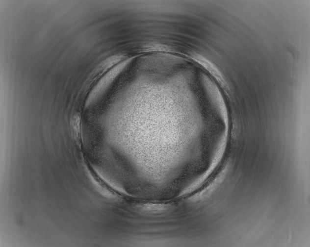X0000113330849200910051144