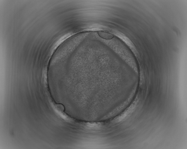 X0000113330850200910051144
