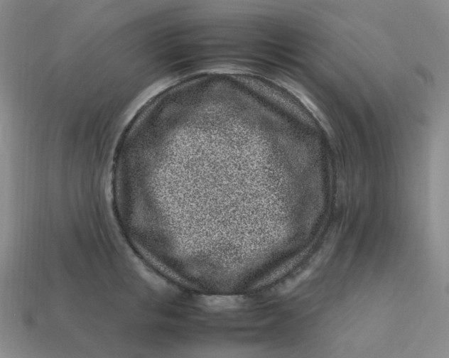 X0000113330853200910051144