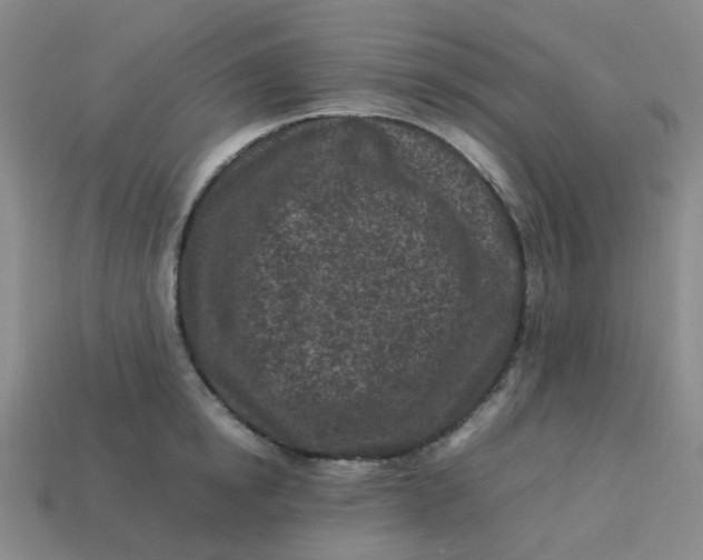X0000113330854200910051144