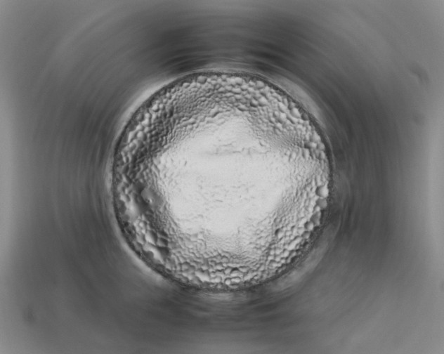 X0000113330855200910051145