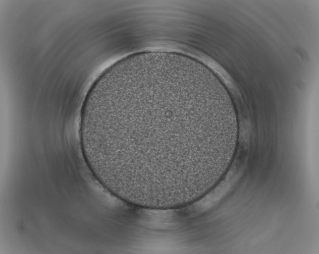 X0000113330856200910051145