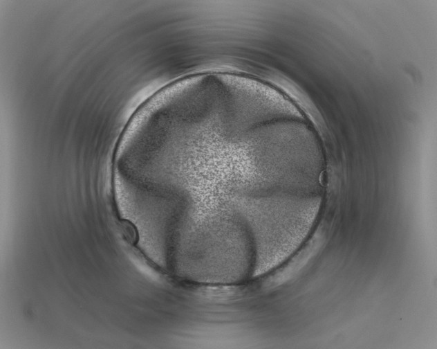 X0000113330858200910051145