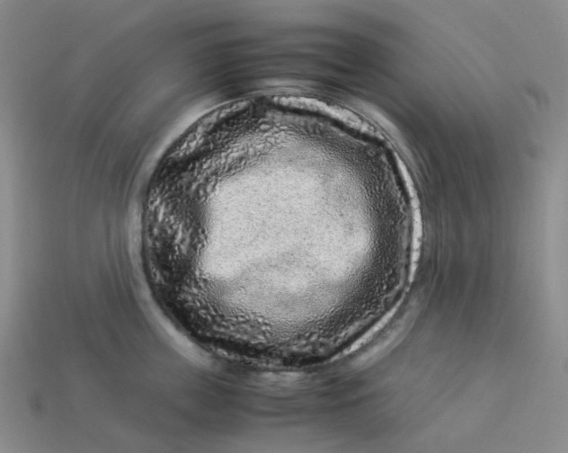 X0000113330859200910051145