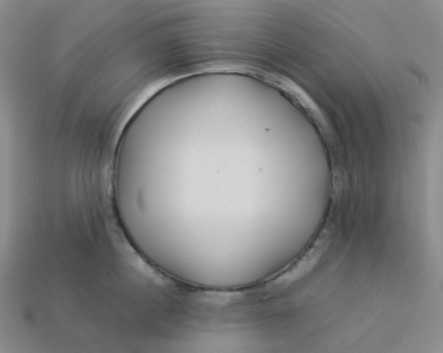 X0000113330860200910051145