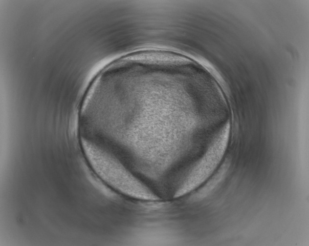 X0000113330862200910051145