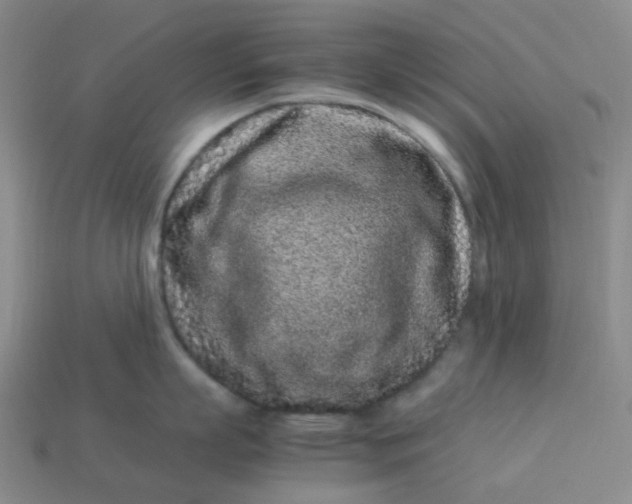 X0000113330863200910051145