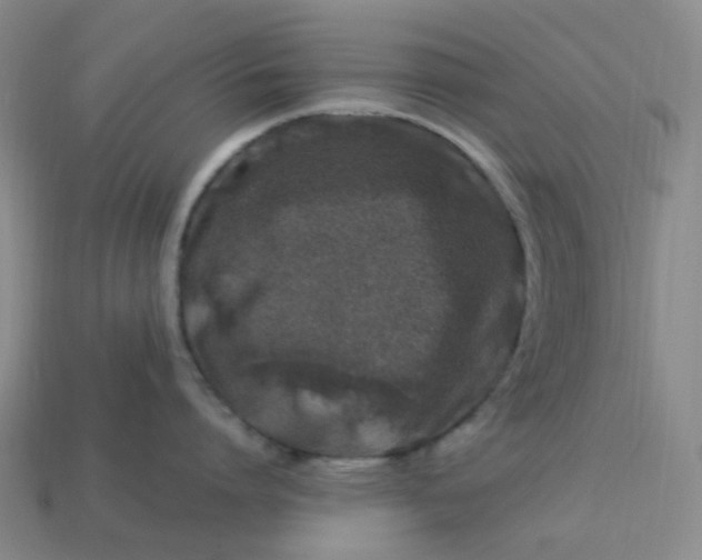 X0000113330864200910051145