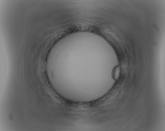 X0000113330865200910051144