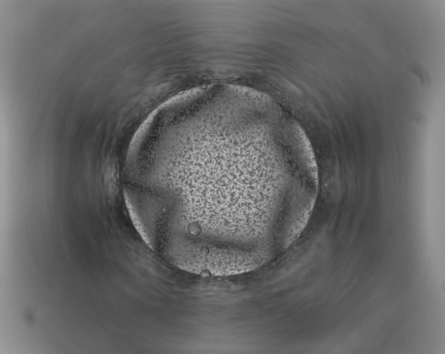 X0000113330866200910051144
