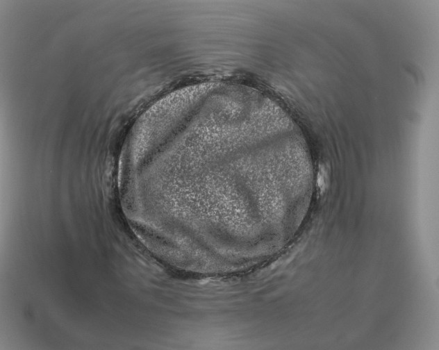 X0000113330867200910051144