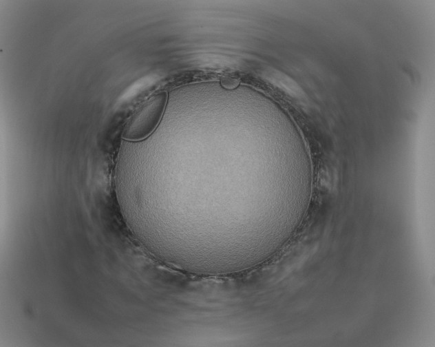 X0000113330869200910051144