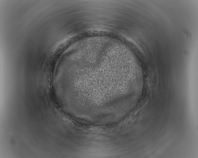 X0000113330870200910051144