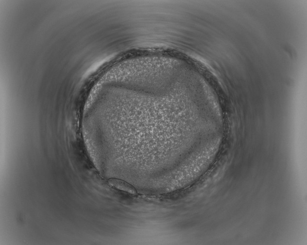 X0000113330871200910051144