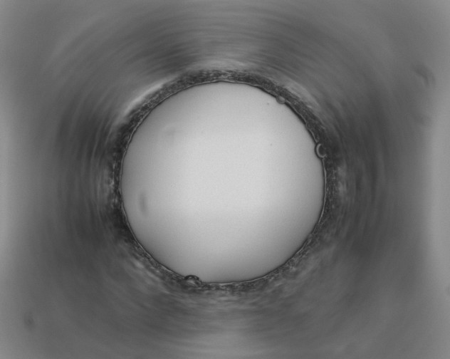 X0000113330872200910051144