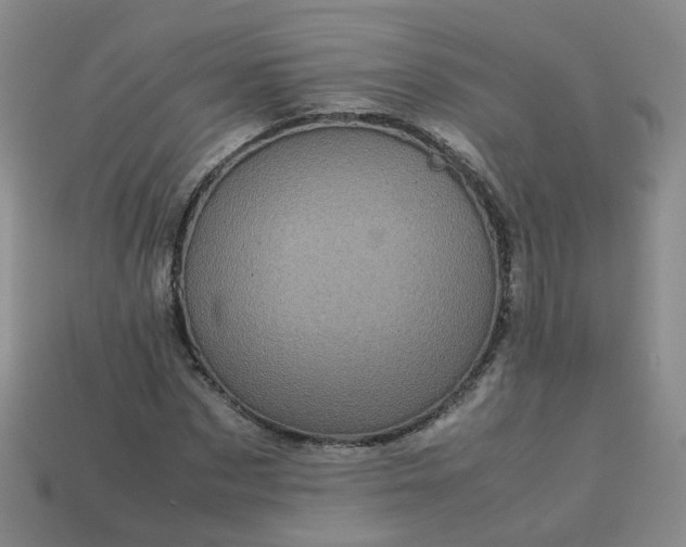 X0000113330873200910051144