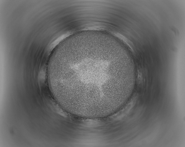 X0000113330874200910051144