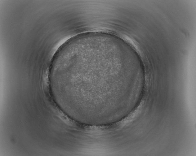 X0000113330875200910051144