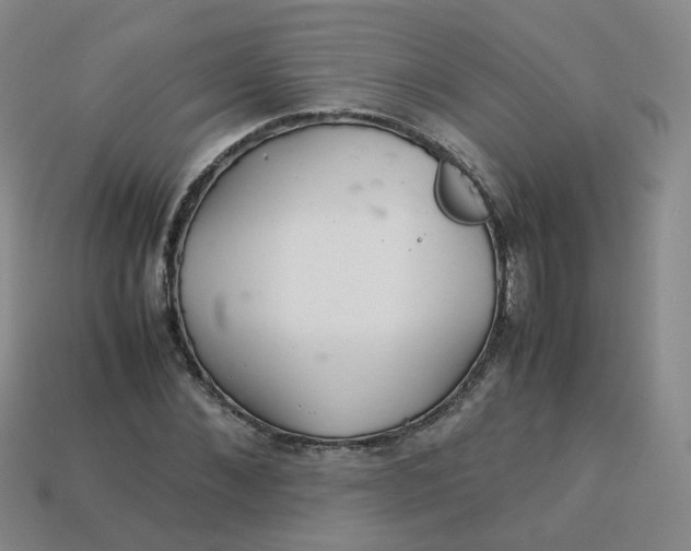 X0000113330876200910051144