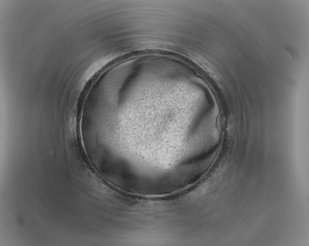 X0000113330877200910051144