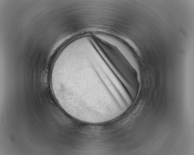 X0000113330878200910051144