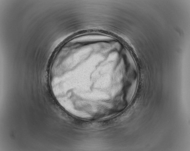 X0000113330879200910051144