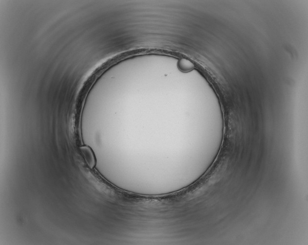 X0000113330880200910051144