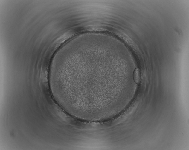 X0000113330881200910051144