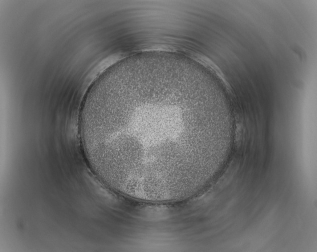 X0000113330882200910051144