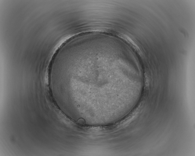 X0000113330883200910051144