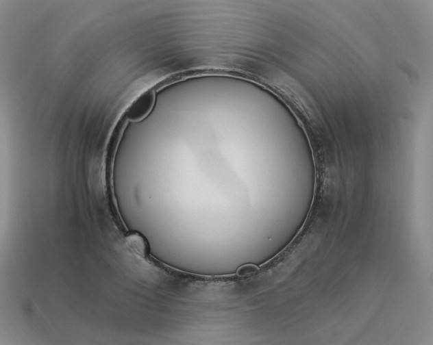 X0000113330884200910051144